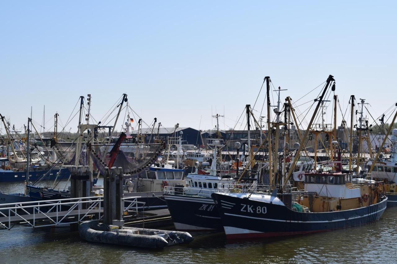"Het Steechje" In Ie Bij Schiermonnikoog En Ameland Διαμέρισμα Ee Εξωτερικό φωτογραφία