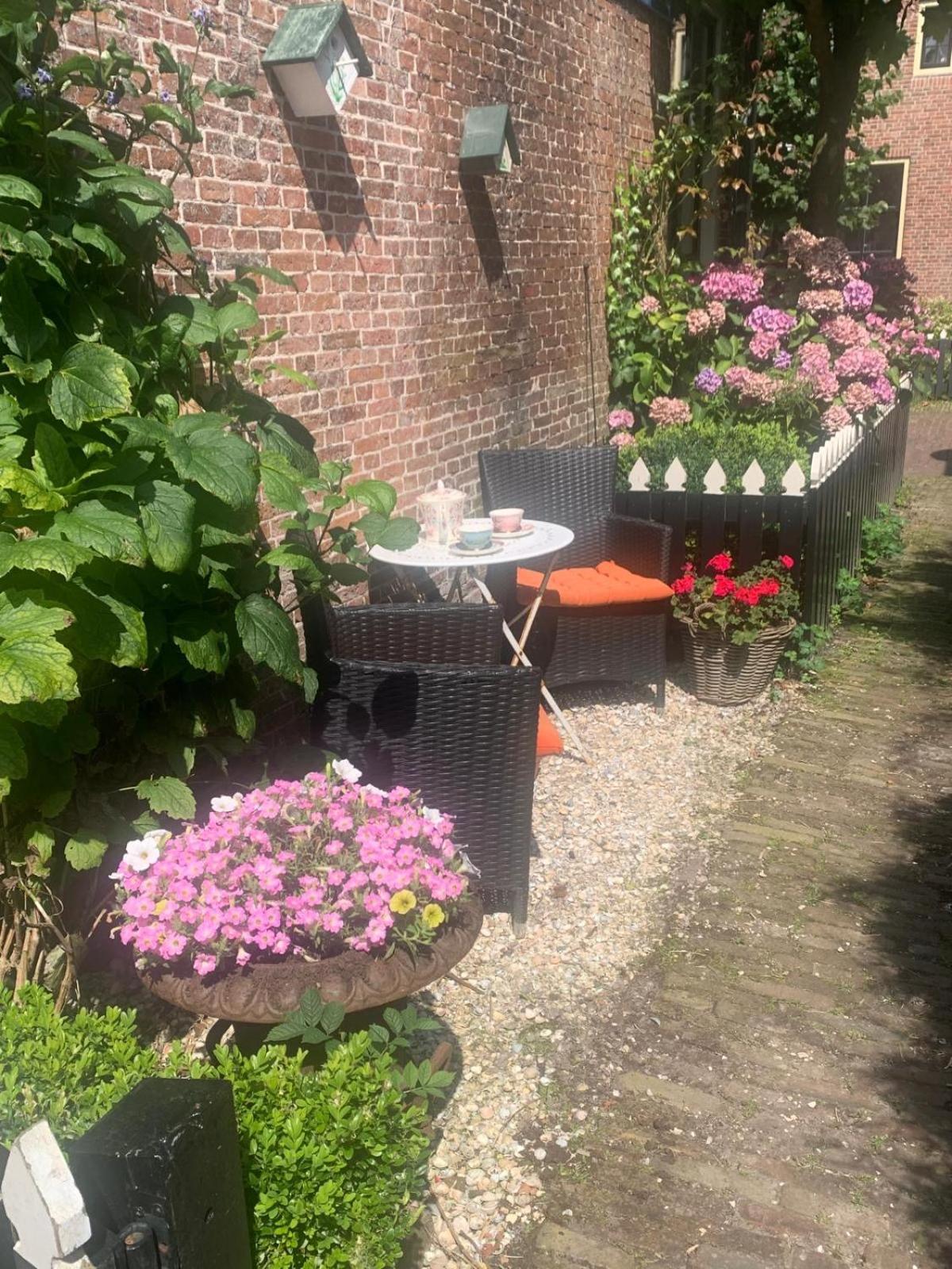 "Het Steechje" In Ie Bij Schiermonnikoog En Ameland Διαμέρισμα Ee Εξωτερικό φωτογραφία