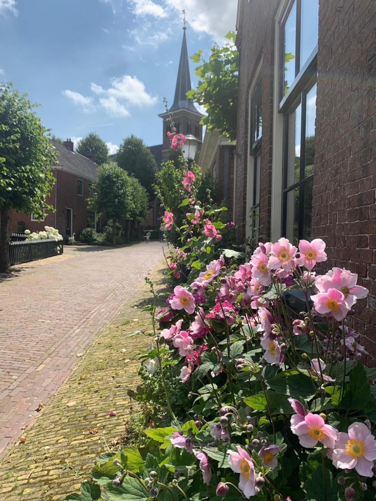 "Het Steechje" In Ie Bij Schiermonnikoog En Ameland Διαμέρισμα Ee Εξωτερικό φωτογραφία